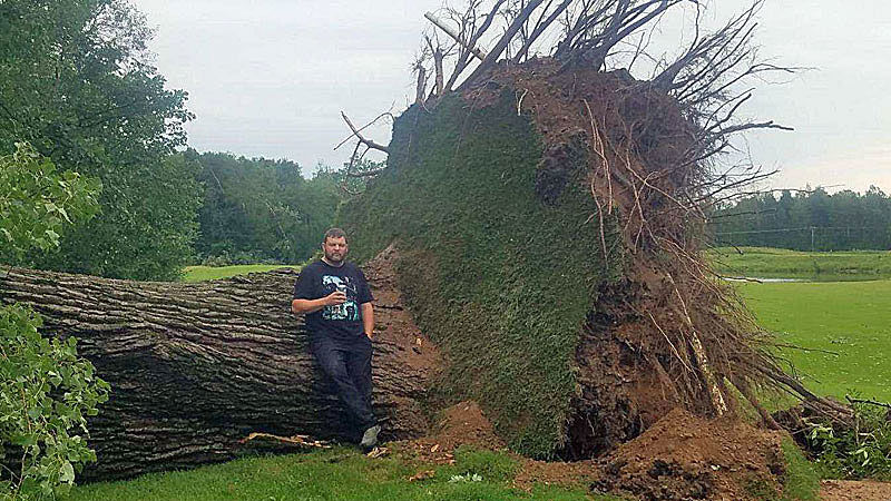 The Creeks at Ivy Acres - tornado, tree